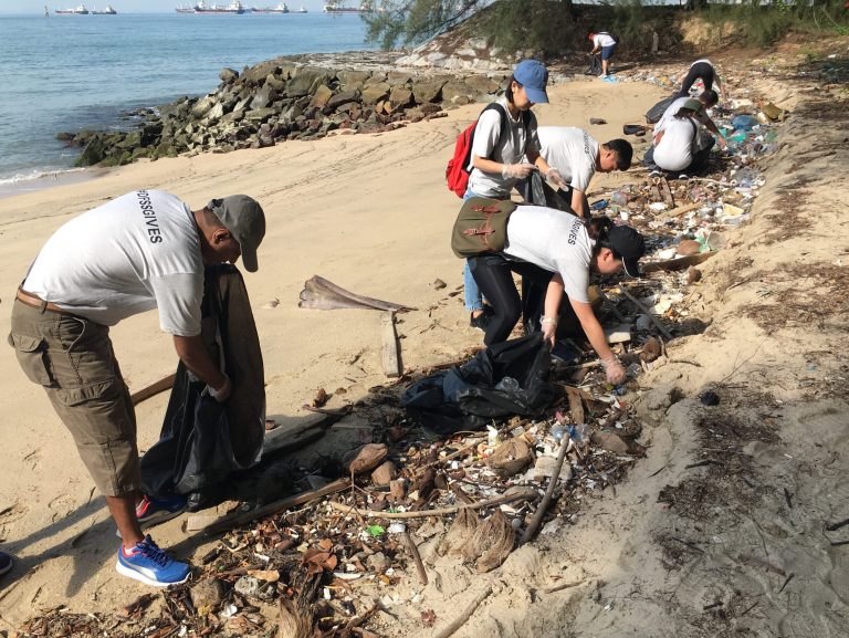 Coastal Cleanup_3