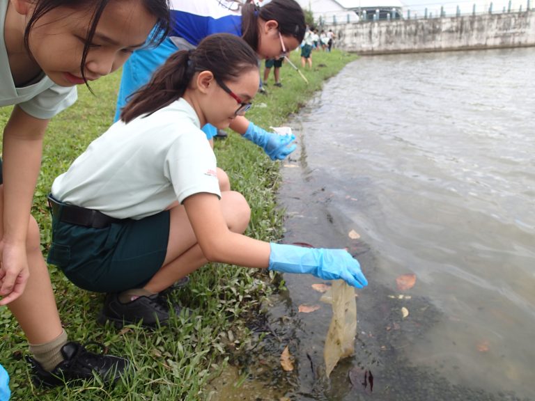 Foot waterways clean up