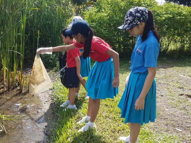 WhatsApp Image 2018-10-30 at 10.55.27