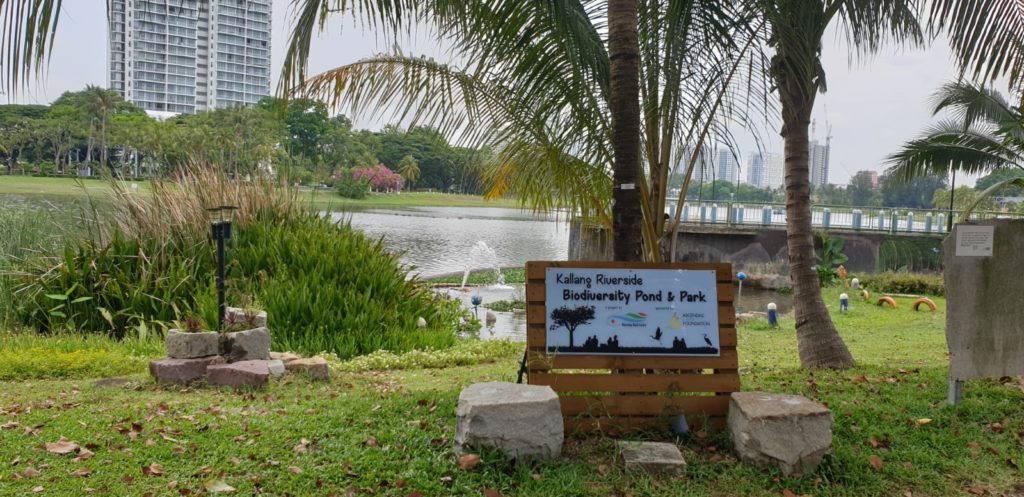 Development of Biodiversity Pond