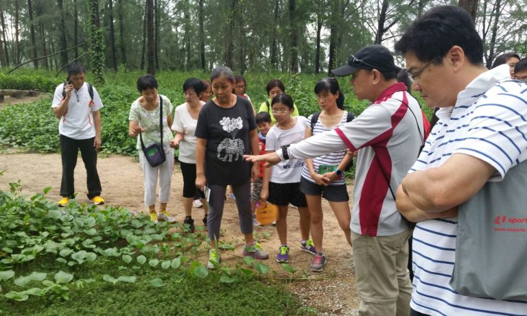 programme_volunteer_2