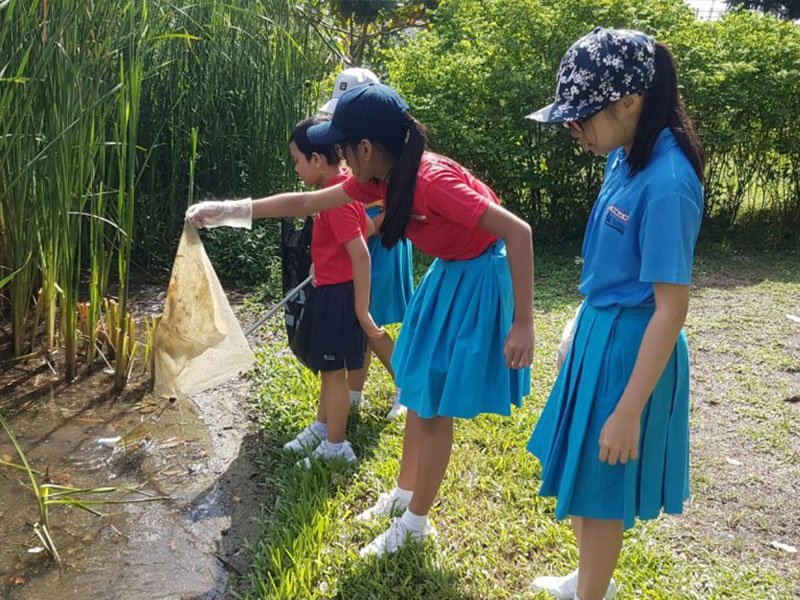 WaterwayCleanup_foot2